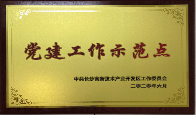 长沙高新区党工委授予中共人生就是博股份有限公司委员会“党建工作示范点”“优秀党务工作者”荣誉称号